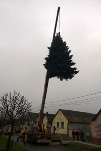 Daruzási munkák Daruzási munkák